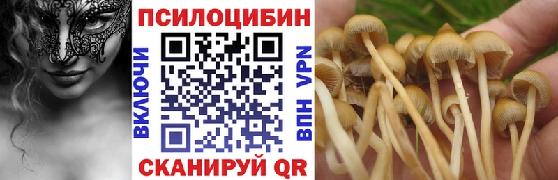 Галлюциногенные грибы Magic Shrooms  что такое   Катайск 